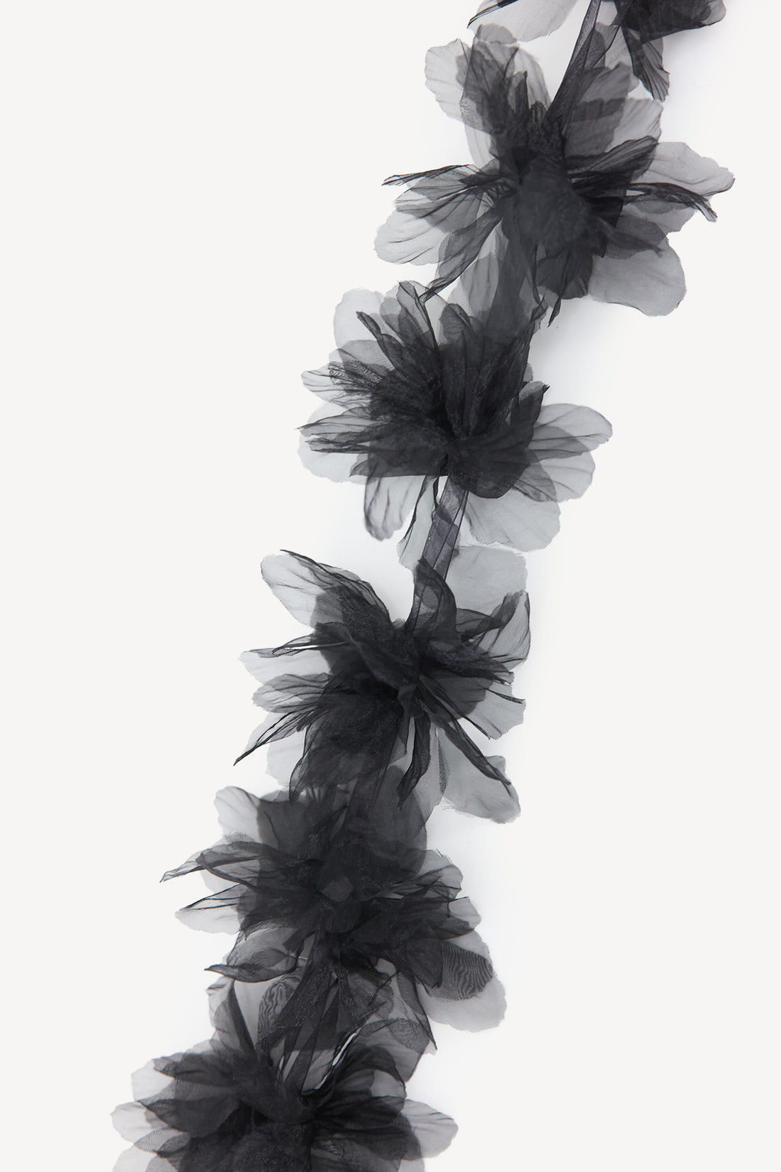 BLOOM WHERE YOU ARE - BLACK